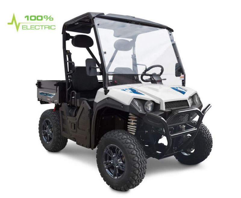 Гольфкар GreenCamel Linhai LH50DU (60V 3950W) Гольфкар GreenCamel Linhai LH50DU (60V 3950W)